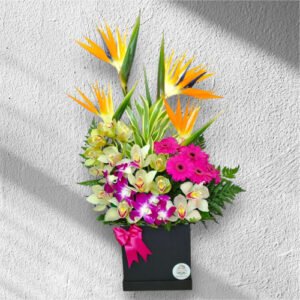 REINADO DE ORQUIDEAS
