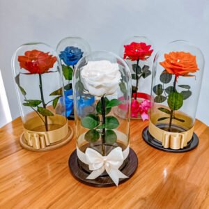 ROSAS PRESERVADAS
